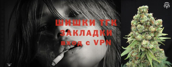 прущие грибы Арсеньев
