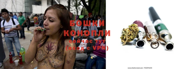 бошки Аркадак