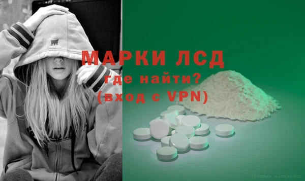 прущие грибы Арсеньев