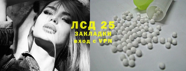 прущие грибы Арсеньев