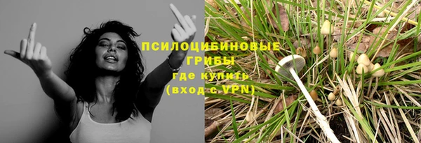 бошки Аркадак