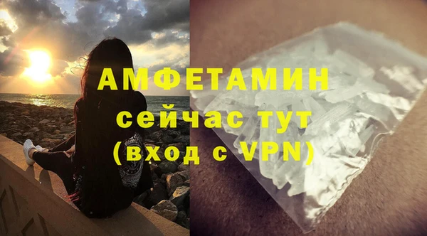 прущие грибы Арсеньев