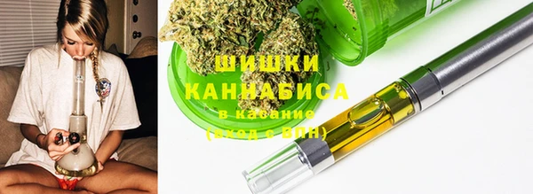 прущие грибы Арсеньев