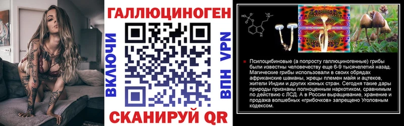мега зеркало  где найти наркотики  Кинель  Псилоцибиновые грибы Psilocybe 